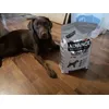Yuna und das futter