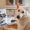Suri durfte testen 