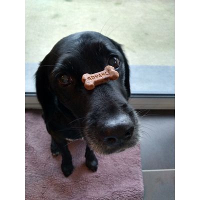 Maya
