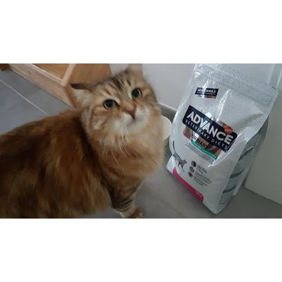 Lola