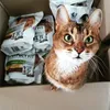 Goed kattenvoer