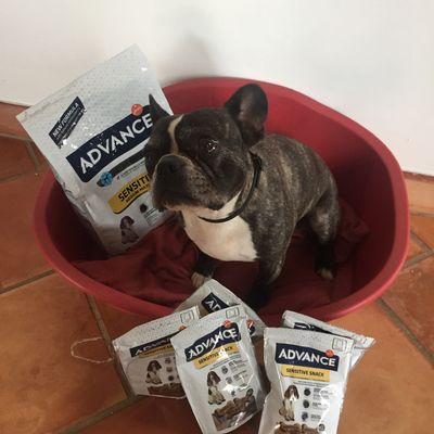 Maya