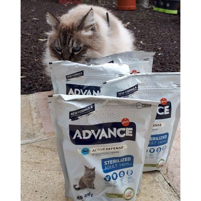 Mon chat decouvre et adore ses croquettes