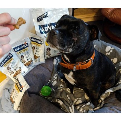 Snacks Advance sensitive