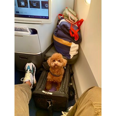 Ready for our 10hr flight - Sherpa M