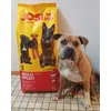 Zeus und sein Futter