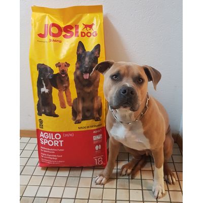 Zeus und sein Futter
