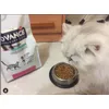 Mis gatos y Advance