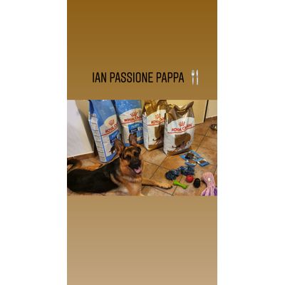 IAN PASSIONE PAPPA