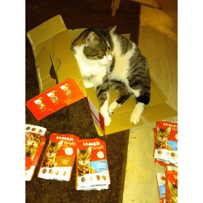 Max liebt es