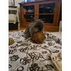 Hay ball