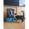 Comenzando la dieta