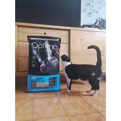 Comenzando la dieta