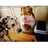 We love our food