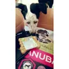 Vlady encantado con su cajita de Zooplus