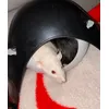 Kuschelzeit