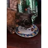 Giulietta mangia felice