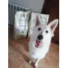 Kora i jej zapasy
