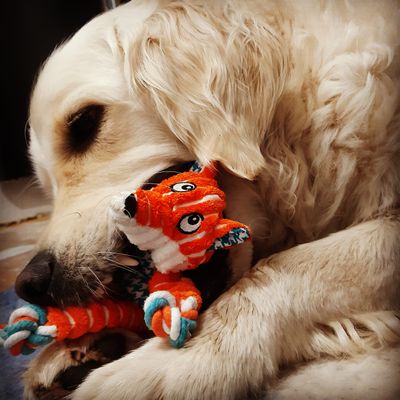 Lucie en knots