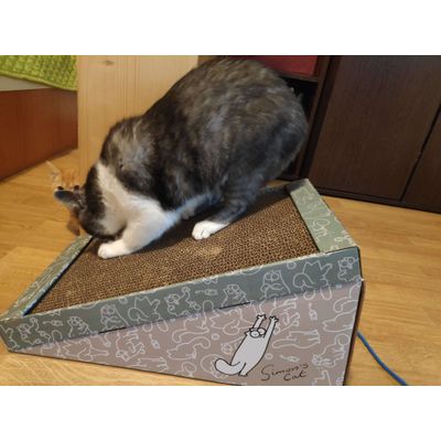 scratching slope