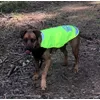 Cecilka na houbach