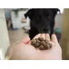 Chewies Monoprotein