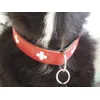 Obojek Hunter Swiss