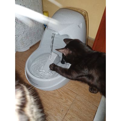 Oniks fountain