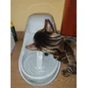Ash Jade s fountain