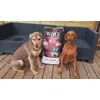 Mystic et Lucky