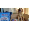 Rocco Futter