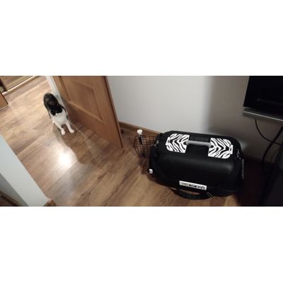 Transporter super