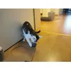 Super Unterhaltung