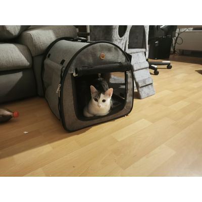 Super Transportbox