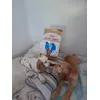 A Cookie e o Pluto