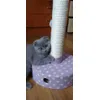 Nixy si stalpul ei 