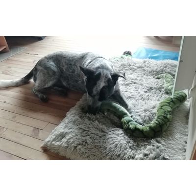 Oona