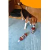 Barney Beagle