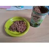 Katze mag Futter