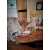 magic - trying out the treats