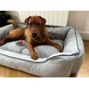 Super tolles Bett