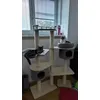 Kocouri deset minut po montazi stromu