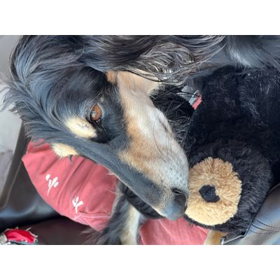 Doudou et nounours