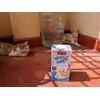 Love the new milkies