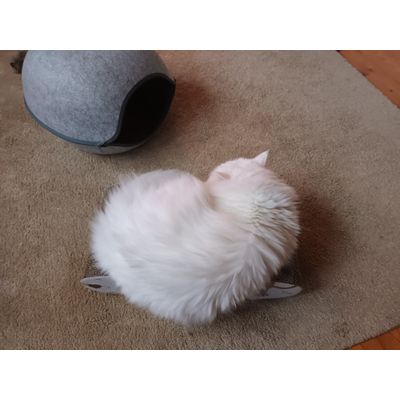 Faulenzen