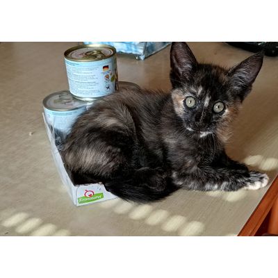Amber con su comida favorita