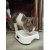 Oh wow new food bowl