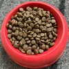 Josera DailyCat udseende