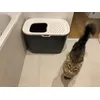 Happy cat