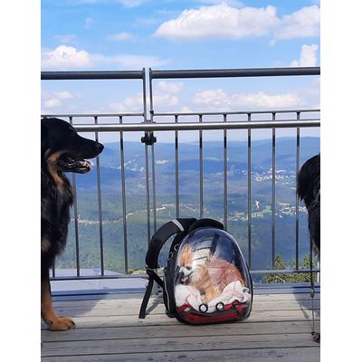 Herkules liebt seinen Rucksack